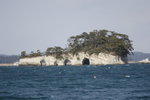 IMG_0545