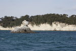 IMG_0570