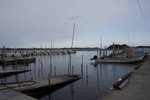 IMG_0611