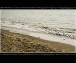 myidea_012