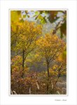 Frame__MG_6626 e