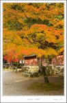 _MG_4708 e