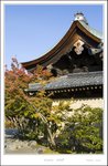 _MG_4971 e