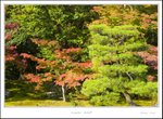 _MG_5028 e