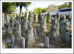 _MG_5087 e