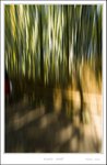 _MG_5132 e