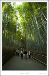 _MG_5136 e