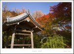 _MG_5252 e