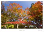 _MG_5260 e