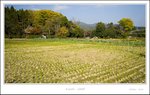 _MG_5356 ec