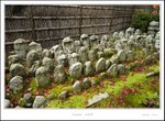 _MG_5452 e
