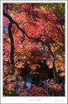_MG_5921 e