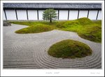_MG_6026 e