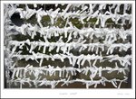_MG_6033 e