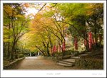 _MG_6073 e