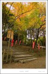 _MG_6077 e