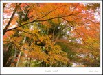 _MG_6093 e