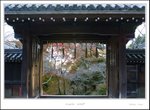 _MG_6134 e