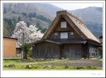 _MG_8051 e