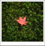 _MG_6480 ec