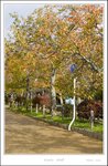 _MG_6559 e