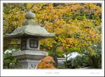 _MG_6607 ec
