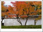 _MG_6655 ec