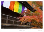 _MG_6756 e