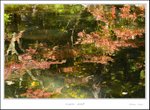 _MG_6835 e