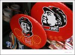 IMG_0230 e