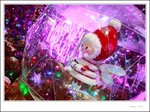 IMG_0341 e