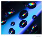 IMG_4084 ec