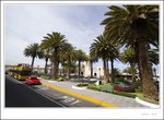 _MG_0171 e