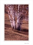 Frame_scan 723