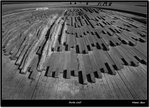 _MG_0224 ebw