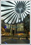 _MG_0342 e