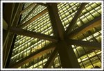 _MG_0351 e