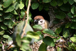 IMG_1493036