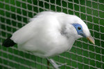 IMG_5251 e3