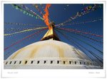 _MG_9006 ec