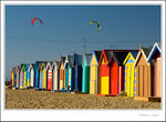 _MG_2944 e