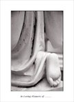 Frame_scan 243 e