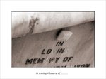 Frame_scan 249 e