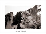 Frame_scan 261 e