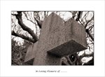 Frame_scan 263 e