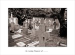 Frame_scan 267 e