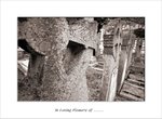 Frame_scan 268 e