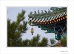 Frame__MG_6669 e
