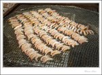 IMG_3151 e