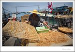 IMG_3156 e